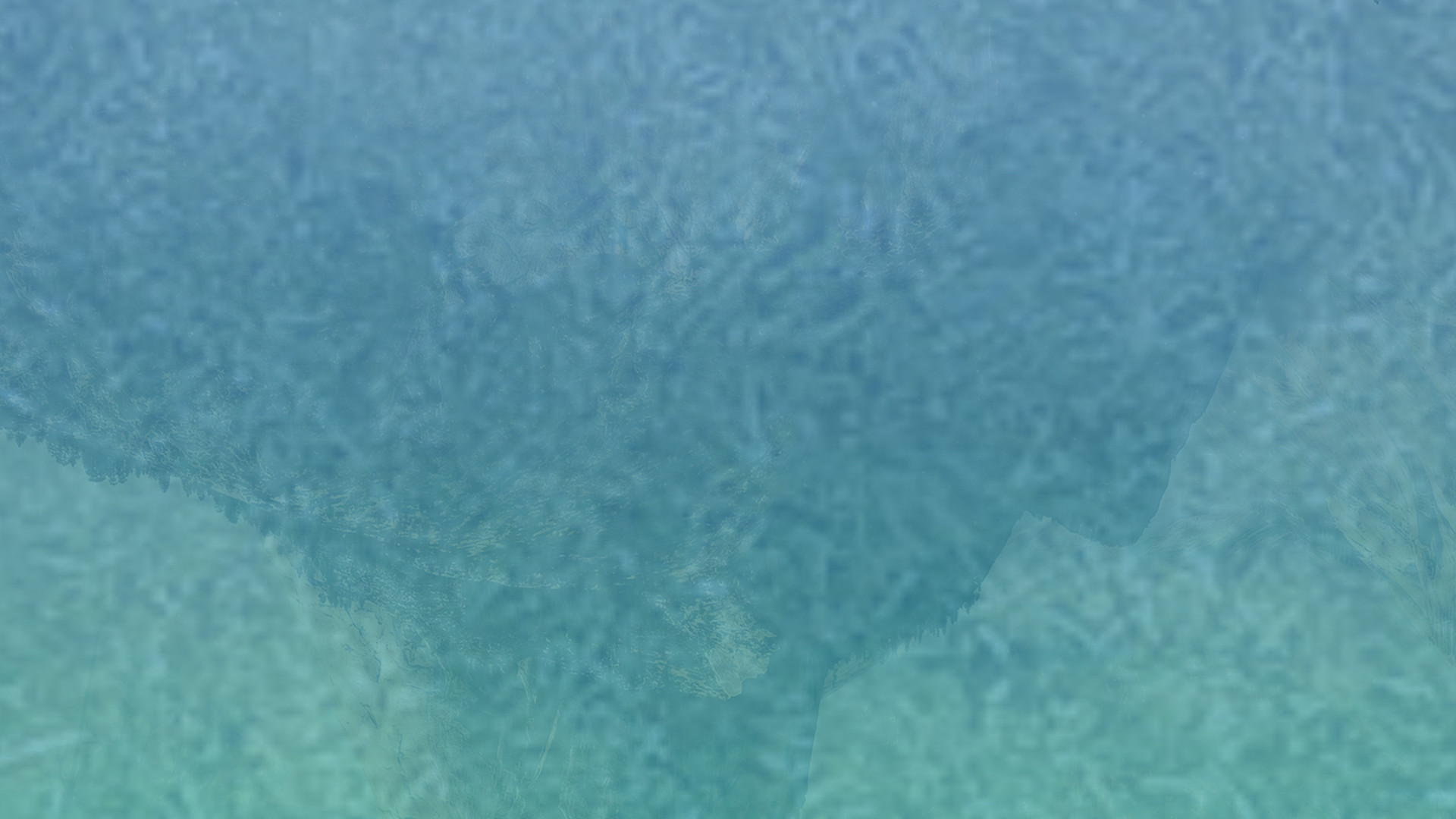 自动发卡秒发的免费ddos在线攻击